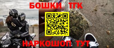 молекула духа Партизанск