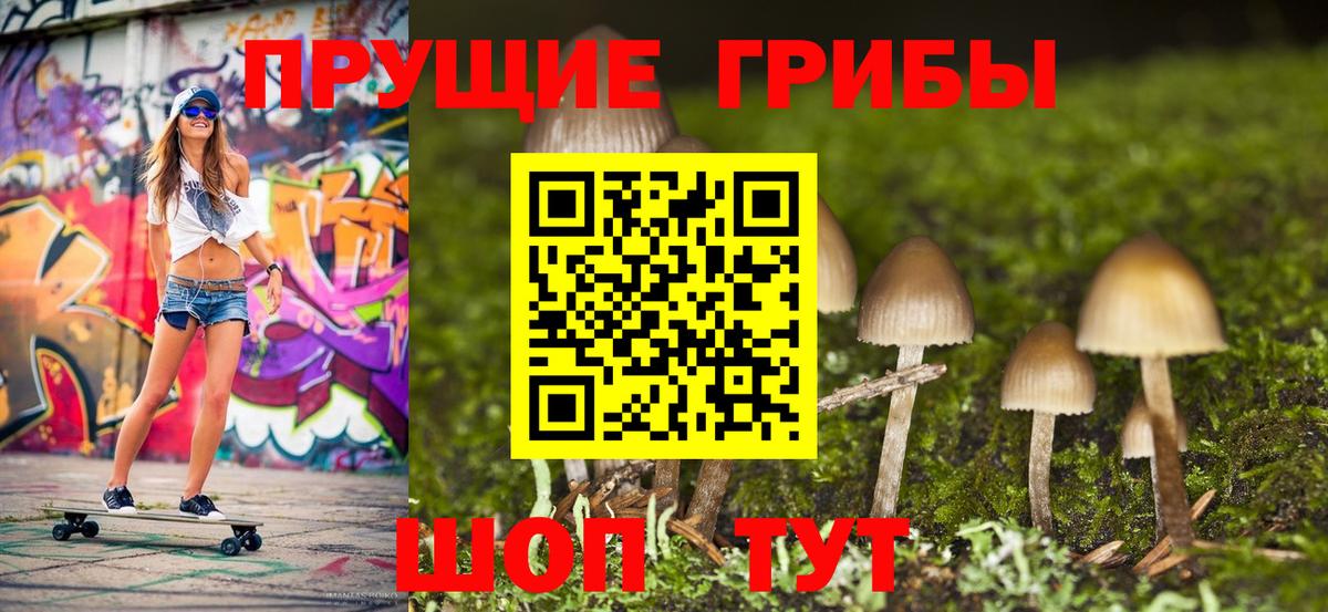 Псилоцибиновые грибы Psilocybine cubensis  Вход с VPN  Рыбинск 
