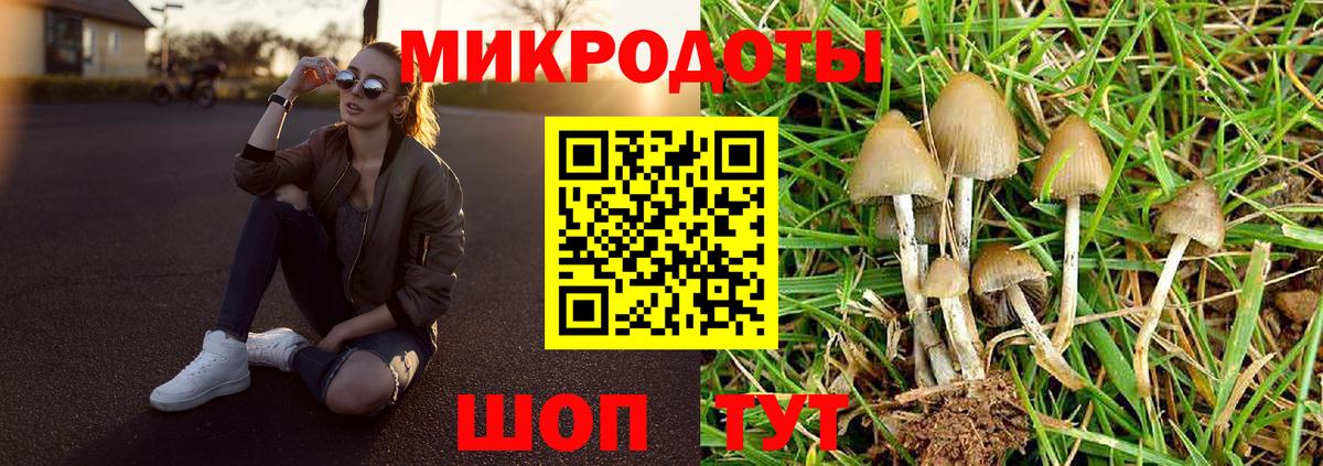 Псилоцибиновые грибы ЛСД Рыбинск